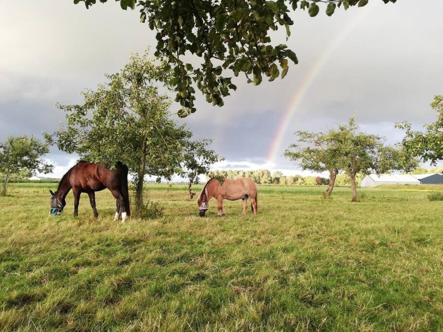 De Kaasmakerij - Ruim Vakantiehuisje Op Huize Blokland Hem Bagian luar foto