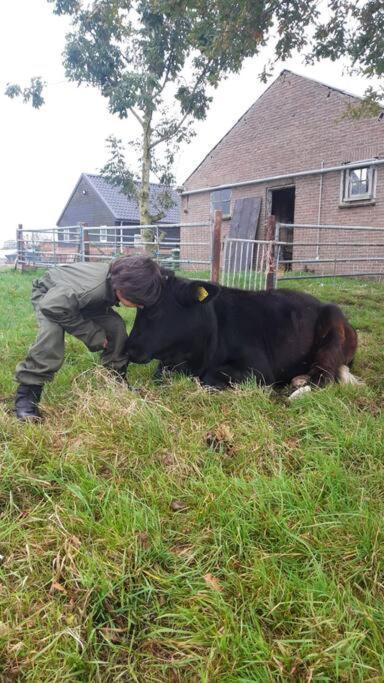 De Kaasmakerij - Ruim Vakantiehuisje Op Huize Blokland Hem Bagian luar foto